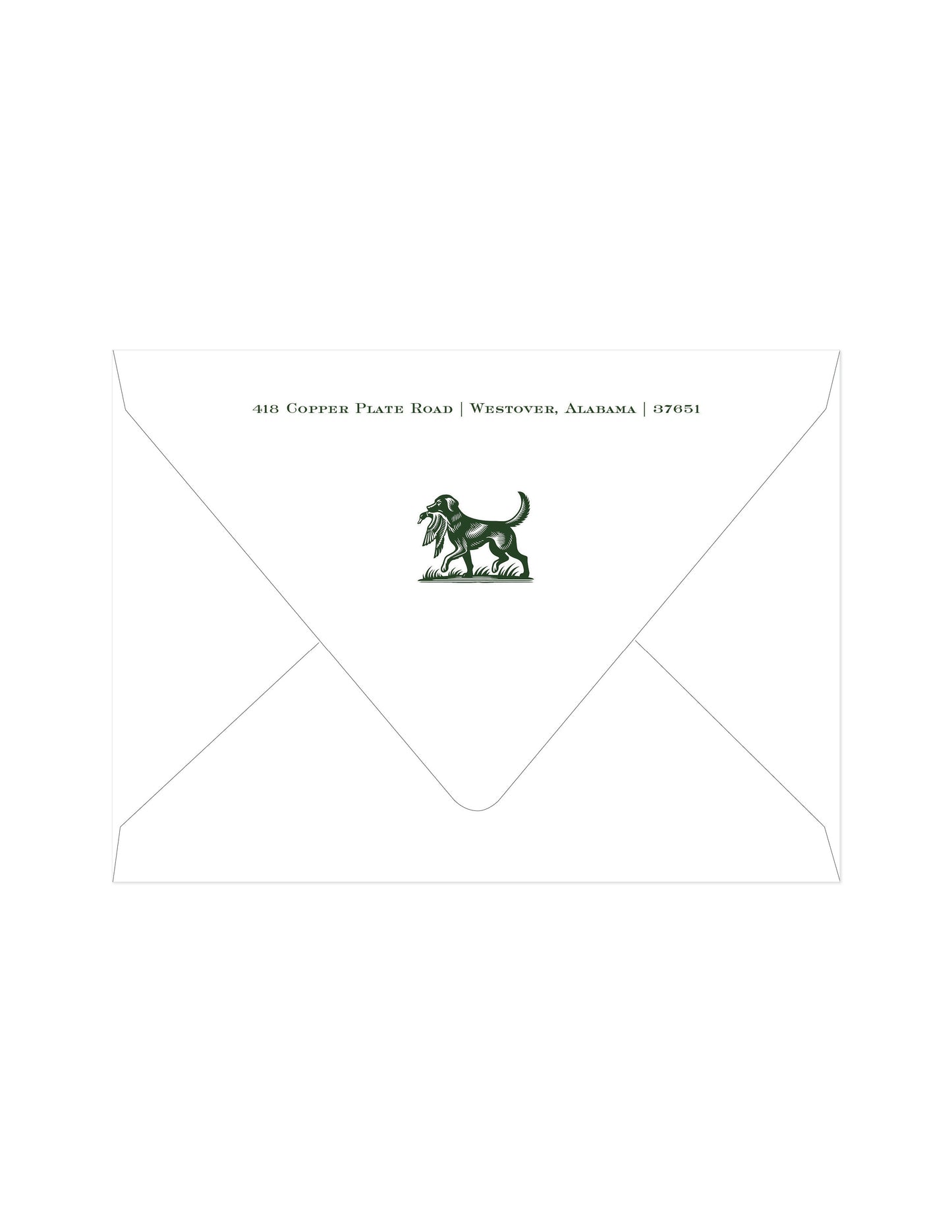 Bird Dog Return Address