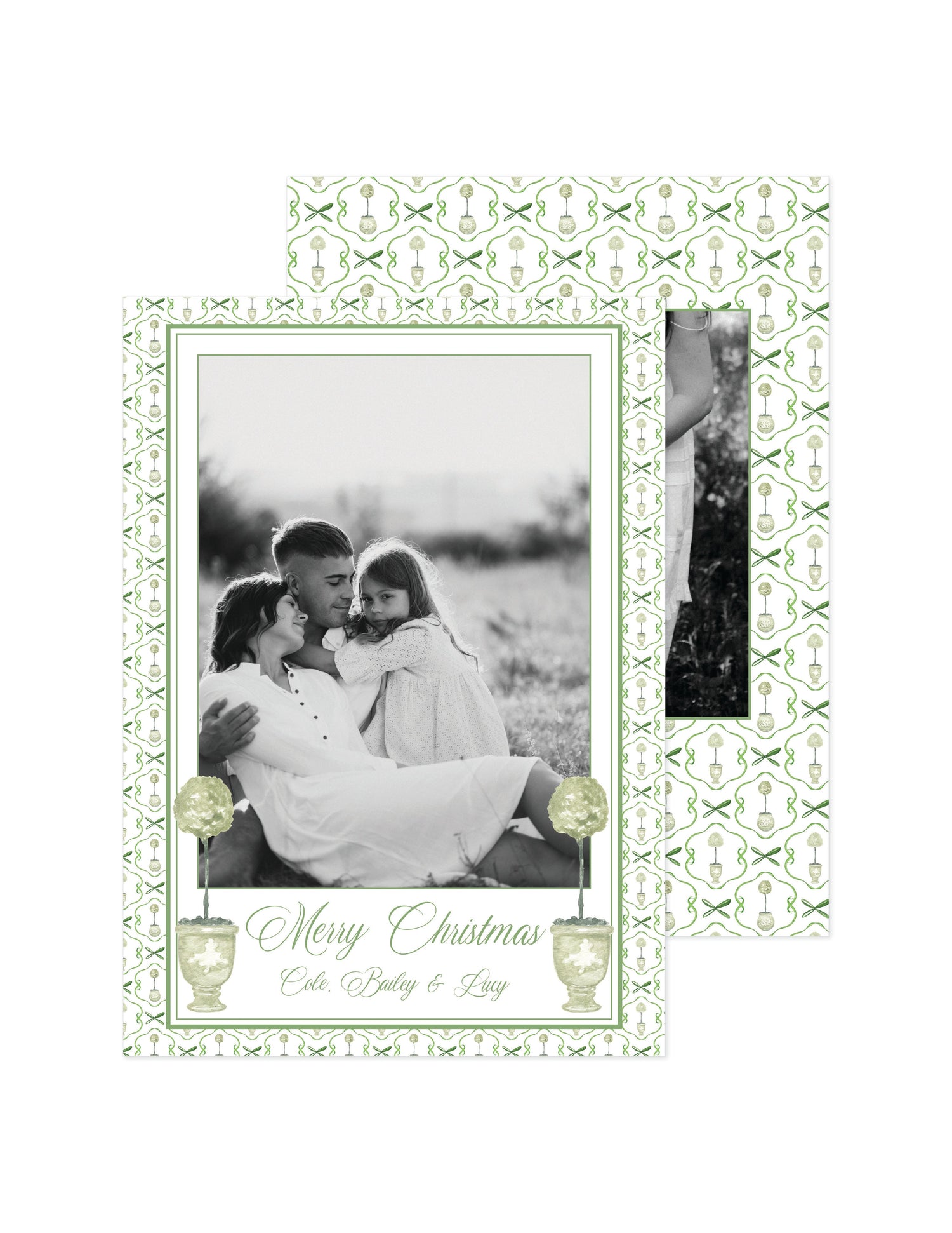 Olive Topiary Collection