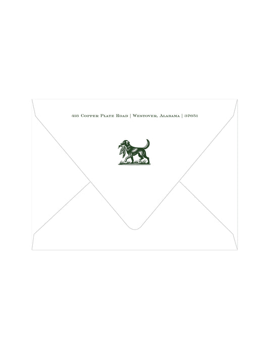 Bird Dog Return Address